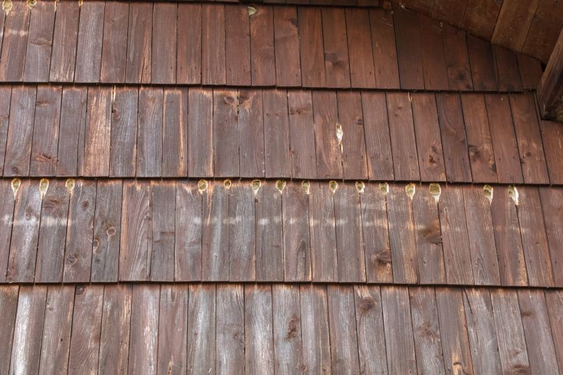 Woodpecker Hole Repair Cost — Cost of Woodpecker Hole Repair